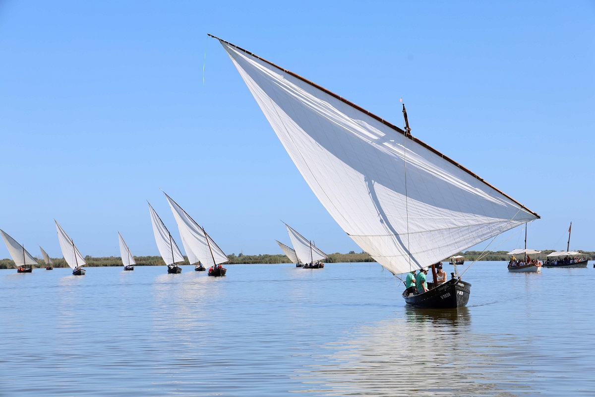 El Tribunal Comuner d’Aldaia y la Vela Latina, candidatas a ser Patrimonio de la Humanidad de la Unesco Vela Llatina en l'Albufera